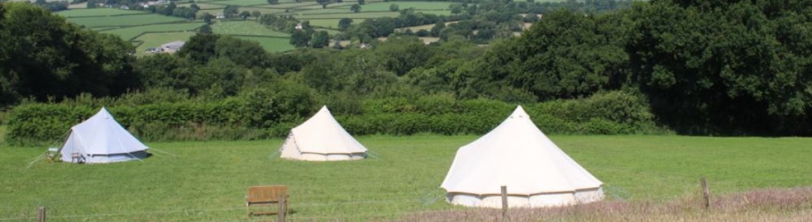 3 bell tents in a field at royal oak farm